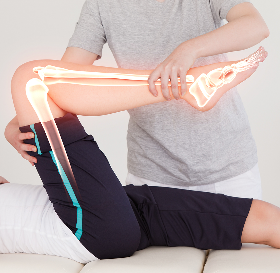 Kinesiology Leg Motion